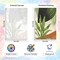 4 Pack Framed Paint By Numbers Green Plants Kit for Adults Beginners – 8x12 Inch DIY Acrylic Painting Set with Wooden Easel, Easy Botanical Wall Art for Home Decor & Gift